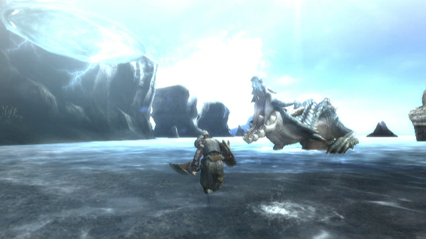 Monster Hunter Tri (3)